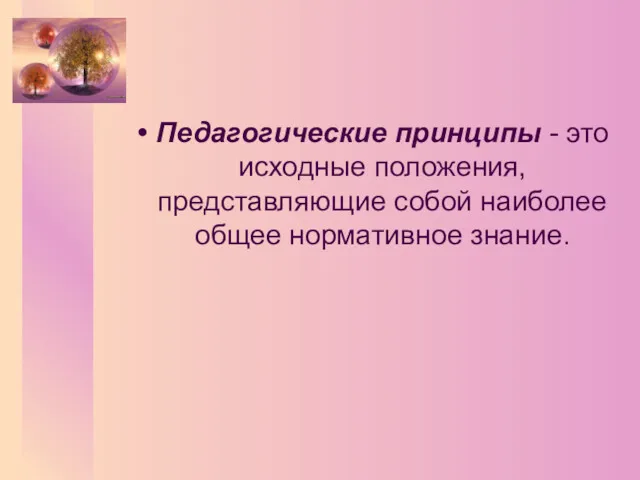 Педагогические принципы - это исходные положения, представляющие собой наиболее общее нормативное знание.