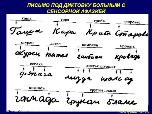 ПИСЬМО ПОД ДИКТОВКУ БОЛЬНЫМ С СЕНСОРНОЙ АФАЗИЕЙ А.Р.Лурия, 1973 г.