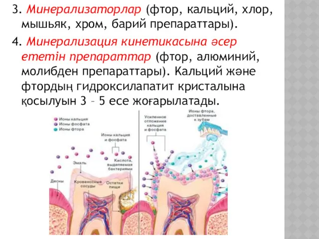 3. Минерализаторлар (фтор, кальций, хлор, мышьяк, хром, барий препараттары). 4.