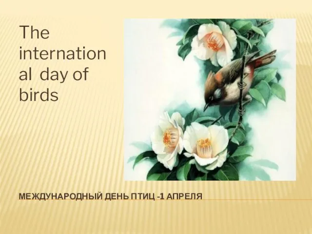 МЕЖДУНАРОДНЫЙ ДЕНЬ ПТИЦ -1 АПРЕЛЯ The international day of birds