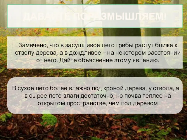 ДАВАЙТЕ ПОРАЗМЫШЛЯЕМ! Замечено, что в засушливое лето грибы растут ближе