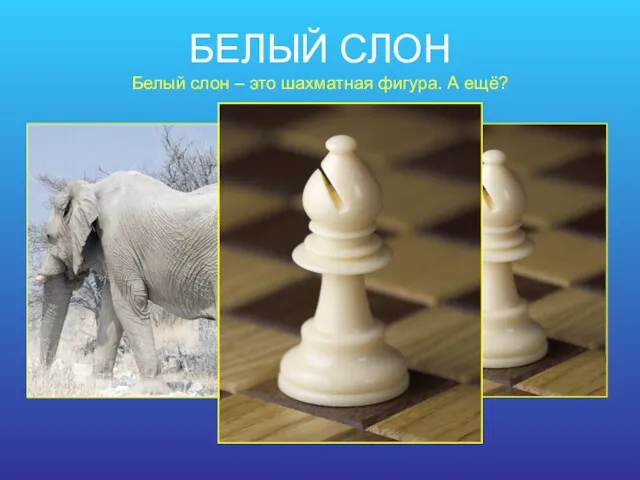 БЕЛЫЙ СЛОН Белый слон – это шахматная фигура. А ещё?