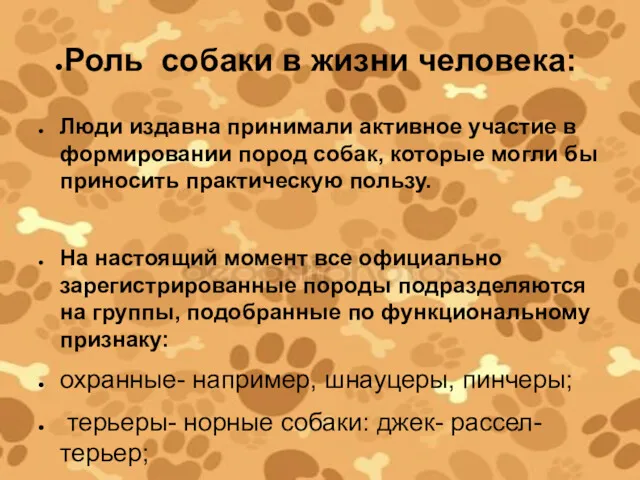 Роль собаки в жизни человека: Люди издавна принимали активное участие