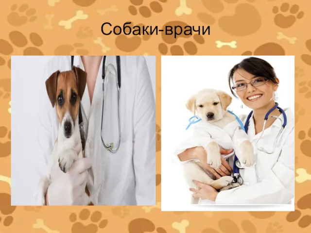 Собаки-врачи
