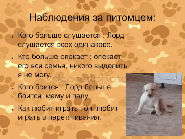 Наблюдения за питомцем: Кого больше слушается : Лорд слушается всех одинаково. Кто больше