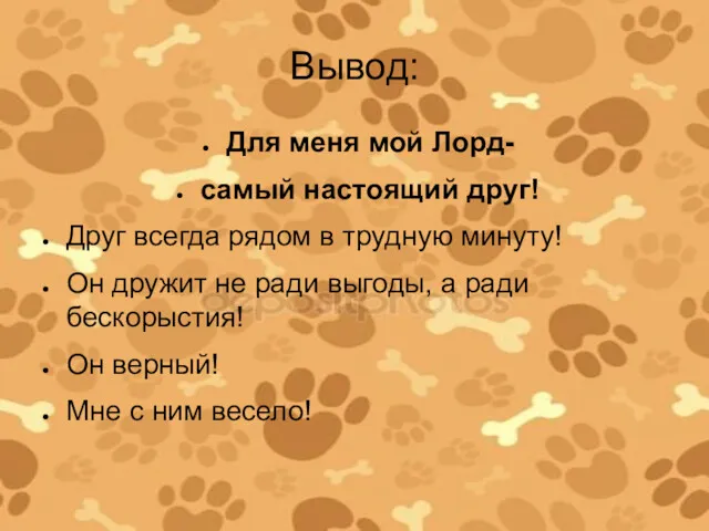 Вывод: Для меня мой Лорд- самый настоящий друг! Друг всегда