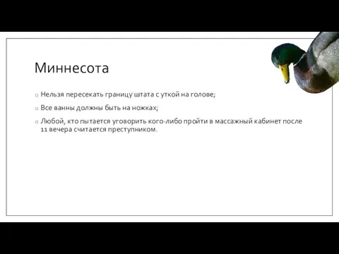 Миннесота Нельзя пересекать границу штата с уткой на голове; Все