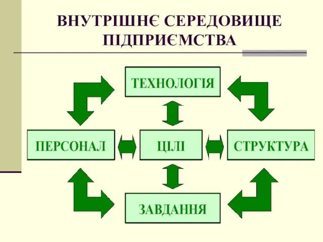 ВНУТРІШНЄ СЕРЕДОВИЩЕ ПІДПРИЄМСТВА