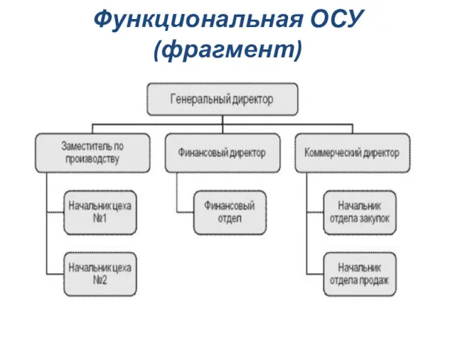 Функциональная ОСУ (фрагмент)