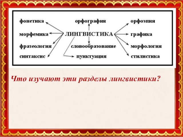 Что изучают эти разделы лингвистики?