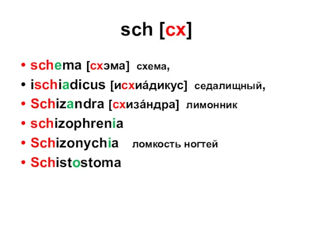 sch [сх] schema [схэма] схема, ischiadicus [исхиáдикус] седалищный, Schizandra [схизáндра] лимонник schizophrenia Schizonychia ломкость ногтей Schistostoma