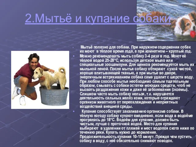 2.Мытьё и купание собаки Мытьё полезно для собаки. При наружном содержании собак их