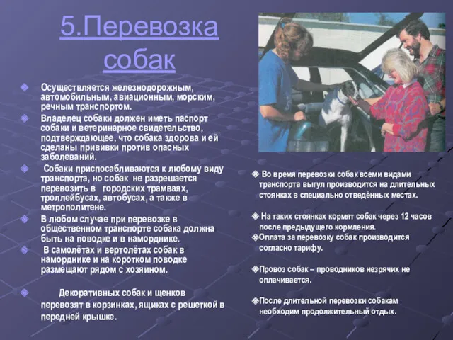 5.Перевозка собак Осуществляется железнодорожным, автомобильным, авиационным, морским, речным транспортом. Владелец