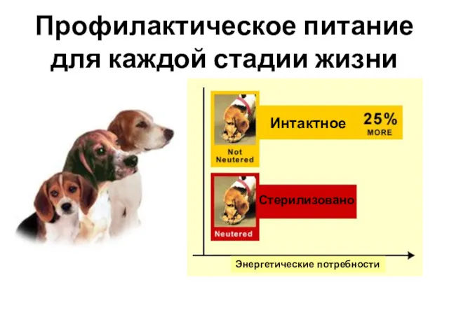 Профилактическое питание для каждой стадии жизни Интактное Стерилизовано Энергетические потребности