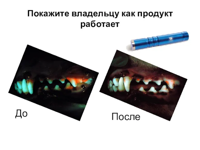 Покажите владельцу как продукт работает До После