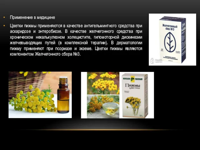 Применение в медицине Цветки пижмы применяются в качестве антигельминтного средства при аскаридозе и