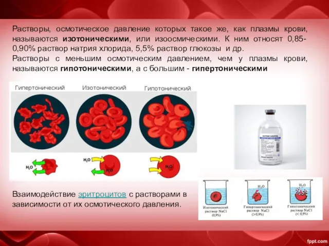 Растворы, осмотическое давление которых такое же, как плазмы крови, называются