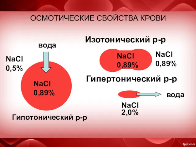 ОСМОТИЧЕСКИЕ СВОЙСТВА КРОВИ Изотонический р-р Гипертонический р-р Гипотонический р-р