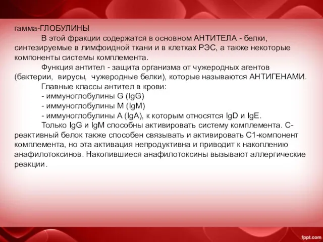 гамма-ГЛОБУЛИНЫ В этой фракции содержатся в основном АНТИТЕЛА - белки, синтезируемые в лимфоидной