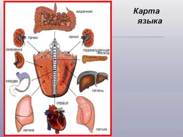 Карта языка