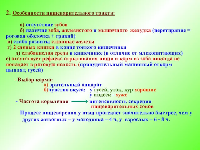 2. Особенности пищеварительного тракта: а) отсутствие зубов б) наличие зоба,