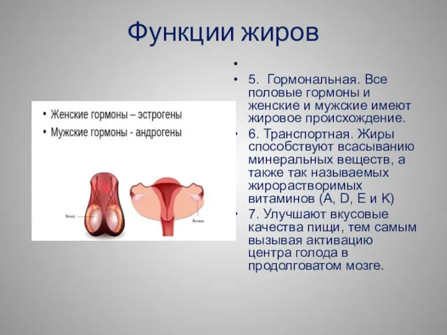 Функции жиров 5. Гормональная. Все половые гормоны и женские и