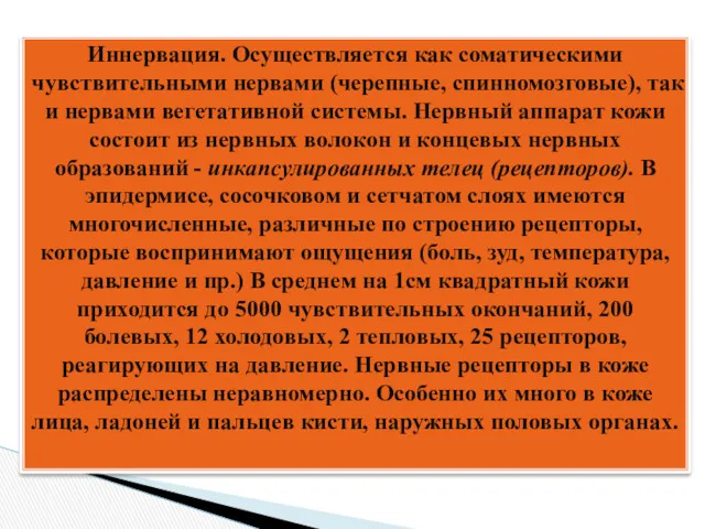 Иннервация. Осуществляется как соматическими чувствительными нервами (черепные, спинномозговые), так и