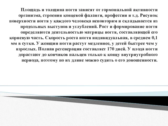 Площадь и толщина ногтя зависят от гормональной активности организма, строения