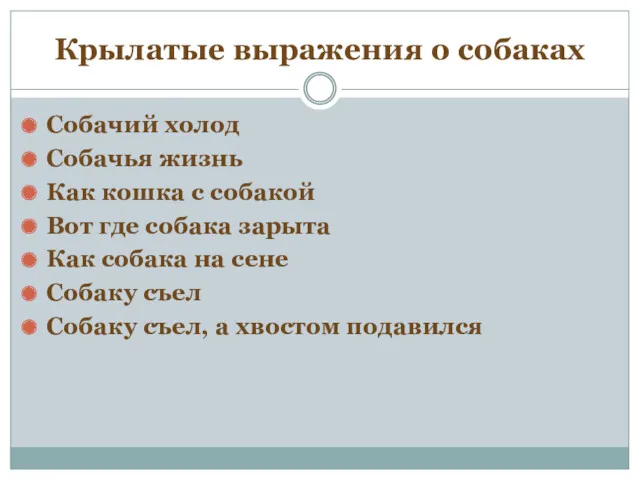 Крылатые выражения о собаках Собачий холод Собачья жизнь Как кошка