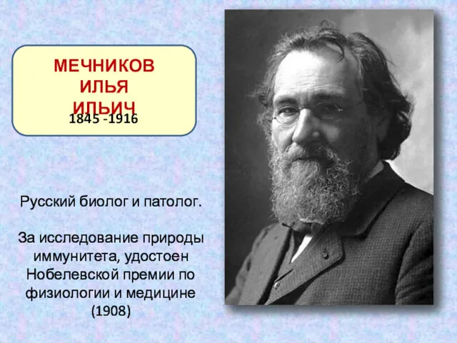 МЕЧНИКОВ ИЛЬЯ ИЛЬИЧ 1845 -1916 Русский биолог и патолог. За