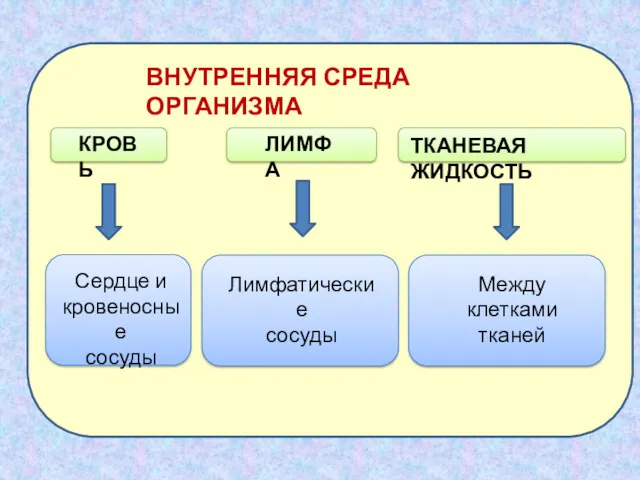 ВНУТРЕННЯЯ СРЕДА ОРГАНИЗМА КРОВЬ ЛИМФА ТКАНЕВАЯ ЖИДКОСТЬ Сердце и кровеносные сосуды Лимфатические сосуды Между клетками тканей