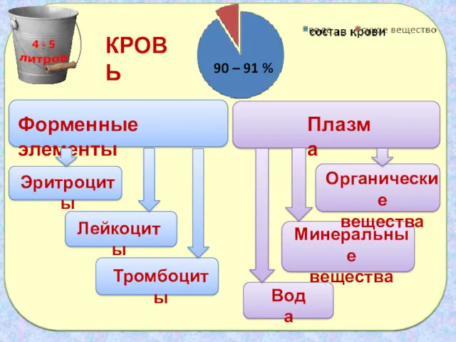 КРОВЬ Плазма Органические вещества Минеральные вещества Вода Форменные элементы Эритроциты Лейкоциты Тромбоциты 90 – 91 %