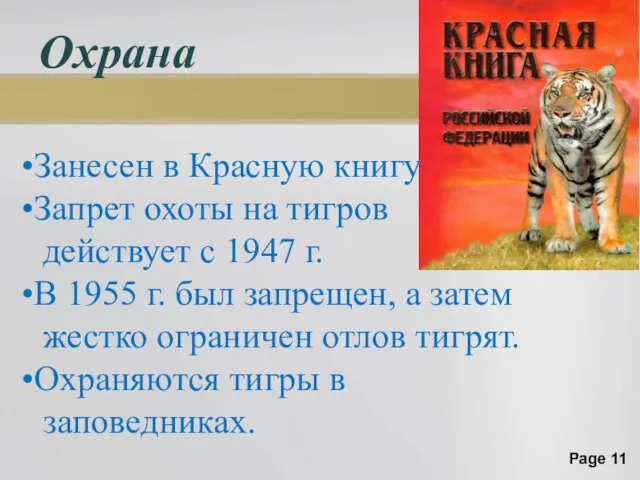 Охрана Занесен в Красную книгу Запрет охоты на тигров действует с 1947 г.