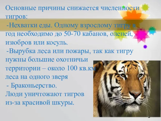 Основные причины снижается численности тигров: Нехватки еды. Одному взрослому тигру