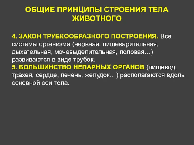 ОБЩИЕ ПРИНЦИПЫ СТРОЕНИЯ ТЕЛА ЖИВОТНОГО 4. ЗАКОН ТРУБКООБРАЗНОГО ПОСТРОЕНИЯ. Все