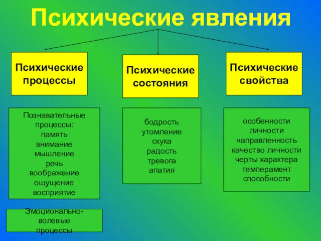 Психические явления Психические процессы Психические состояния Психические свойства Познавательные процессы: