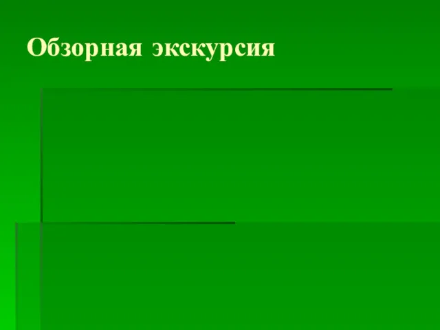 Обзорная экскурсия