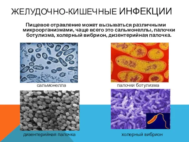 ЖЕЛУДОЧНО-КИШЕЧНЫЕ ИНФЕКЦИИ Пищевое отравление может вызываться различными микроорганизмами, чаще всего