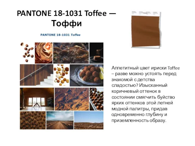 PANTONE 18-1031 Toffee — Тоффи Аппетитный цвет ириски Toffee –