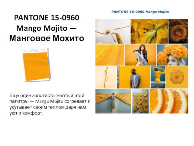 PANTONE 15-0960 Mango Mojito — Манговое Мохито Еще один золотисто-желтый