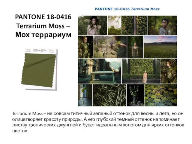 PANTONE 18-0416 Terrarium Moss – Мох террариум Terrarium Moss –