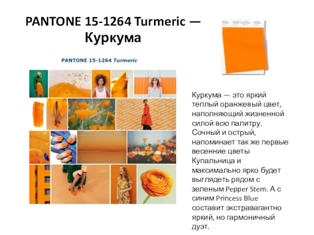 PANTONE 15-1264 Turmeric — Куркума Куркума — это яркий теплый