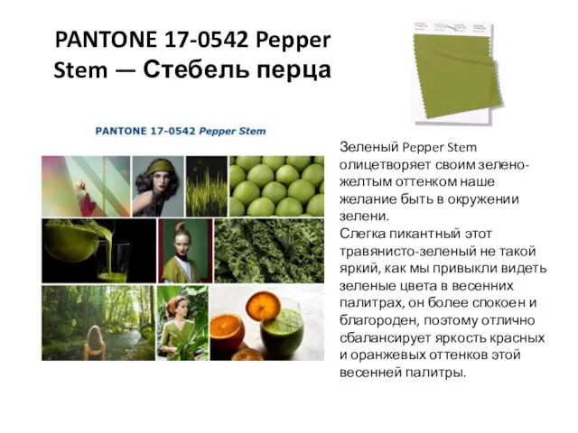PANTONE 17-0542 Pepper Stem — Стебель перца Зеленый Pepper Stem