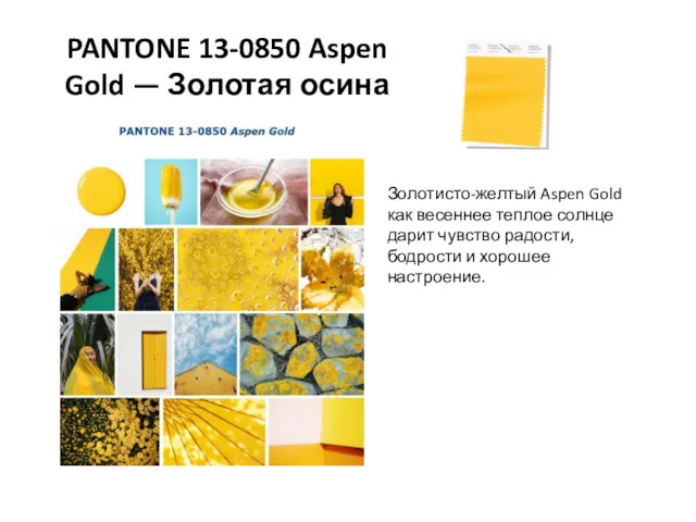 PANTONE 13-0850 Aspen Gold — Золотая осина Золотисто-желтый Aspen Gold