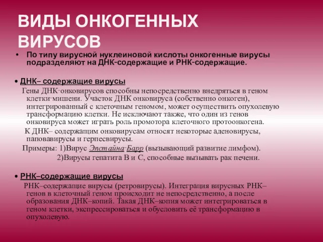 ВИДЫ ОНКОГЕННЫХ ВИРУСОВ По типу вирусной нуклеиновой кислоты онкогенные вирусы