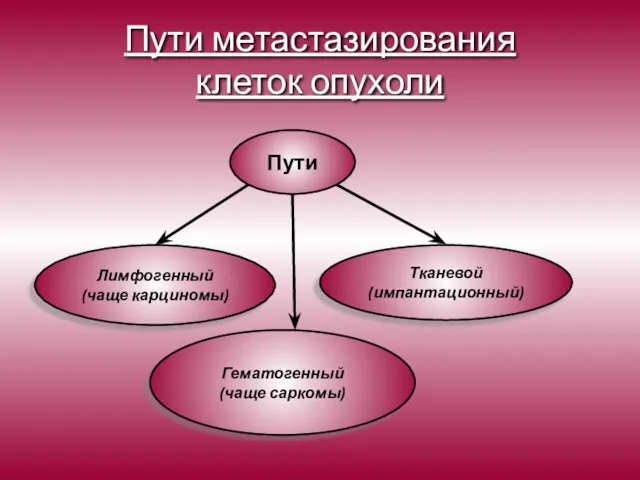 Пути метастазирования клеток опухоли Пути Лимфогенный (чаще карциномы) Гематогенный (чаще саркомы) Тканевой (импантационный)