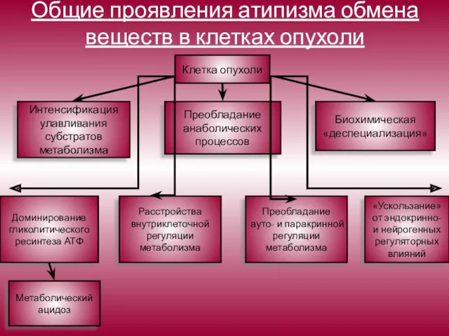 Общие проявления атипизма обмена веществ в клетках опухоли Клетка опухоли