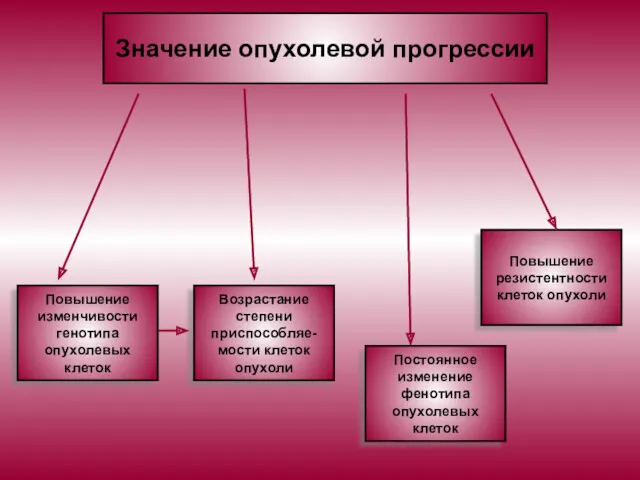 Значение опухолевой прогрессии Повышение изменчивости генотипа опухолевых клеток Возрастание степени