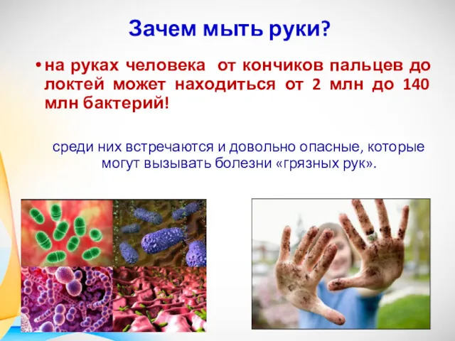 Зачем мыть руки? на руках человека от кончиков пальцев до
