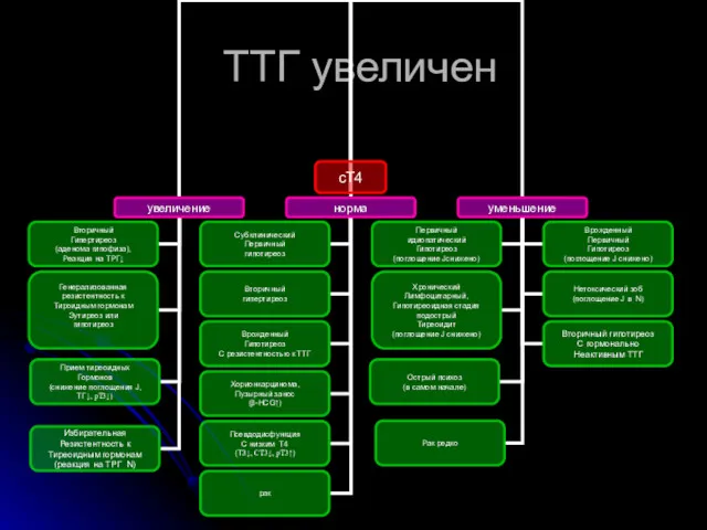 ТТГ увеличен